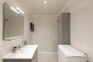 La salle de bains blanche est pourvue d'un lavabo et de toilettes. dans l'établissement Appartement 2 pièces au calme proche Martinez avec parking privé, à Cannes
