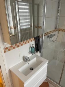 La salle de bains est pourvue d'un lavabo blanc et d'une douche. dans l'établissement Family House, à Kappeln