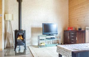 a living room with a fireplace and a television at Cozy Home In Kolczewo With Kitchen in Kołczewo