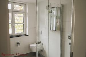 a bathroom with a toilet and a glass shower at Apartements Zum Roten Lamm in Bad Krozingen