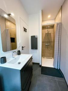 La salle de bains est pourvue d'un lavabo et d'une douche. dans l'établissement "L'imprévue", 12 personnes dans la vieille ville !, à Boulogne-sur-Mer