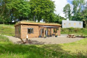 a small wooden cabin in a field with a picnic table at Llwyn-Teg Log Cabin in Whitland