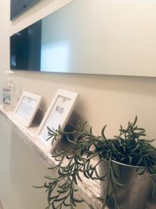 A television and/or entertainment centre at Like Home