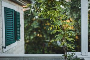 Fotografie z fotogalerie ubytování Casa Ra v destinaci Podgorica