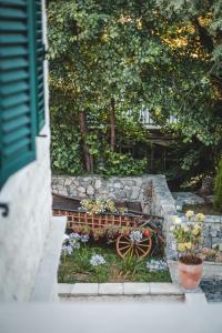 Zahrada ubytování Casa Ra
