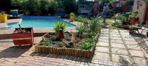 a garden with plants and a swimming pool at Our Place - Family - 5 bed unit in Bloemfontein