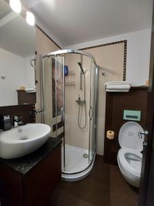 ein Bad mit einer Dusche, einem Waschbecken und einem WC in der Unterkunft Apartament 13 si 16 in Oxygen Residence Sinaia in Sinaia