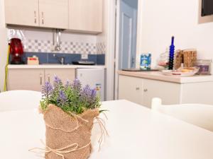 A kitchen or kitchenette at Donna Felì