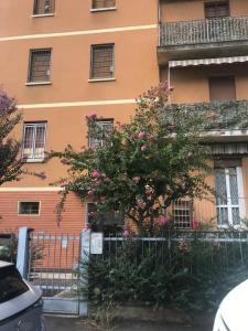 a tree in front of a building with pink flowers at Appartamento 4 posti letto in zona tranquilla e ben servita, un matrimoniale e un divano letto matrimoniale facebook massimo bobo aquili in Bologna