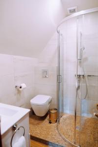 y baño con aseo y ducha acristalada. en Casa Cheile Dâmbovicioarei - Cabana 1, en Dîmbovicioara