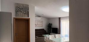 TV a/nebo společenská místnost v ubytování Apartments-Sana