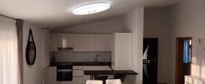 Kuchyň nebo kuchyňský kout v ubytování Apartments-Sana