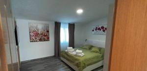 Postel nebo postele na pokoji v ubytování Apartments-Sana