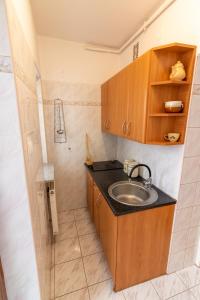 uma pequena casa de banho com um lavatório e uma prateleira em Urban Nest Apartments Radziwiłłowska 12 em Cracóvia