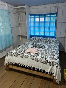 Puerto NariñoFlor de la selva的相册照片