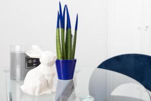 Kép Trastevere Blue King Studio Suite - Top Collection szállásáról Rómában a galériában