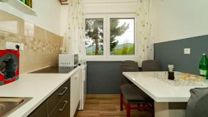 Kuchyň nebo kuchyňský kout v ubytování APARTMAN GRADINA
