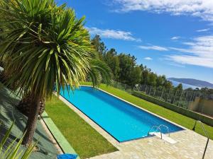 a large swimming pool with a palm tree next to it at APARTAMENTO PLAYA DE ESTORDE - Piscina y playa para disfrutar A Costa da Morte in Cee