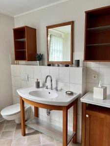 La salle de bains est pourvue d'un lavabo, de toilettes et d'un miroir. dans l'établissement Town meets Country, à Birkenwerder