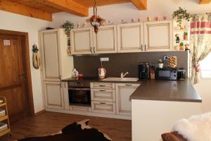 A cozinha ou cozinha compacta de 3 spálňová chata Baločka