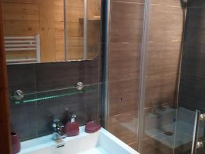y baño con ducha y lavamanos. en Appartement Valloire, 1 pièce, 4 personnes - FR-1-263-485, en Valloire