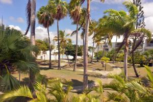 a park with palm trees in front of a building at L'oasis de Saint-François, studio An bel ti koté in Saint-François