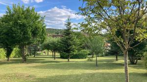 ein Park voller Bäume und grünem Gras in der Unterkunft Villa spacieuse très élégante idéale à la détente in Lamargelle