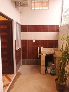 a bathroom with a sink and a potted plant at Casa Maribel Lugar para descansar en ixtapa in Ixtapa