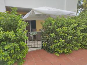 Zahrada ubytování DImOrA SALENTO SAIRON