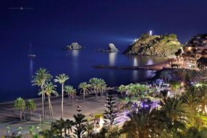 a view of the ocean at night with palm trees at Apartamento Vista Altillo in Almuñécar