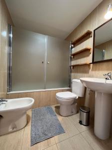 La salle de bains est pourvue de toilettes, d'un lavabo et d'une douche. dans l'établissement Preciosa vivienda con gran terraza muy luminoso, à Grenade
