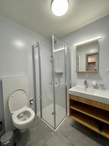 ein Bad mit einer Dusche, einem WC und einem Waschbecken in der Unterkunft Pension & Gasthof zur Taube in Sulzberg