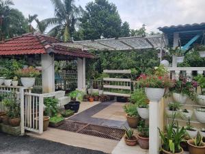 a garden with potted plants and a pergola at Homestay Ampang Farah in Ampang
