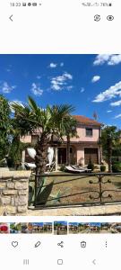 a house with a palm tree in front of it at Ferienwohnung mit 2 Schlafzimmer oder Studio Apartment - Istrien-Fiorini in Brtonigla