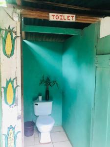 a bathroom with a toilet in a green wall at Hostal Así es mi Tierra in Balgue