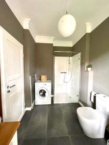 a bathroom with a toilet and a washing machine at JETHON Appartement in der Gasse in Nienburg