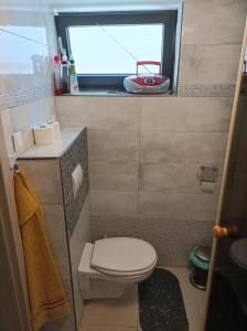 a small bathroom with a toilet and a window at Ubytovanie u Vlada in Medzilaborce