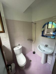 a bathroom with a white toilet and a sink at Centre Hotel in Berat +9 photos
