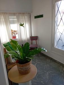 タンディルにあるCasa Piscisの部屋のテーブルに座る植物