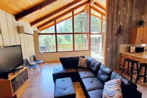 Redwood Retreat, Mountains, Adventure and Nature في Ponderosa: غرفة معيشة مع أريكة ونافذة كبيرة