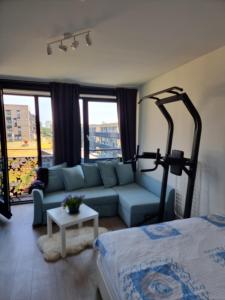 Ice studio