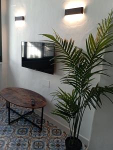 a plant in a room with a table and a tv at El MANANTIAL in Zahara de la Sierra