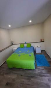 a bedroom with a green bed and a blue rug at Alojamento Silva in Castelo de Paiva