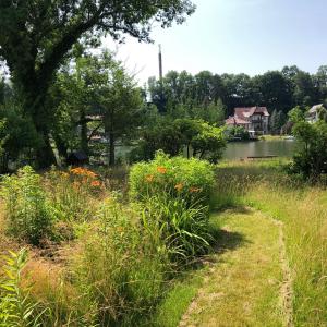 a field of grass with flowers and a lake at Ferienwohnung mit Wasserzugang in Lychen