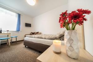 博格泽利卡ALBOPOGORZELICA, DOM GOŚCINNY的客厅,配有带红色鲜花的花瓶