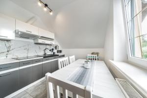 博格泽利卡ALBOPOGORZELICA, DOM GOŚCINNY的房间里有一张桌子和几把椅子的厨房