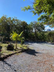 a palm tree in the middle of a gravel road at Chalé Verde - Vale do Capão in Vale do Capao