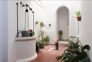 Vonkajšia záhrada v ubytovaní Precioso y luminoso apartamento Calle Corredera. Casco Histórico