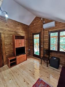 sala de estar con TV y paredes de madera en TRI KOLIBE, en Bor