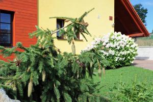 Un árbol de Navidad delante de una casa con flores en Hortenzie en Kašperské Hory